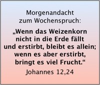 Bildschirmfoto 2019-04-01 um 08.08.01