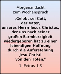 Bildschirmfoto 2019-04-28 um 11.31.53