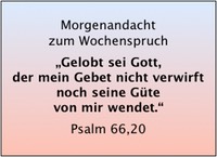 Bildschirmfoto 2019-05-29 um 11.59.18