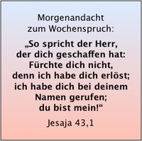 Bildschirmfoto 2019-07-28 um 08.35.53