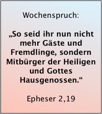 Bildschirmfoto 2019-08-04 um 06.47.55