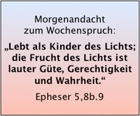 Bildschirmfoto 2019-08-11 um 07.12.06